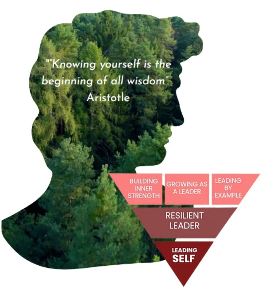 Knowing yourself is the begining of all wisdom - aristotle